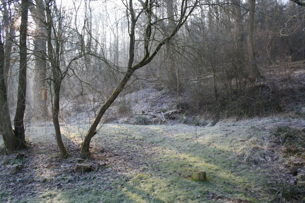 Coalport Station winter