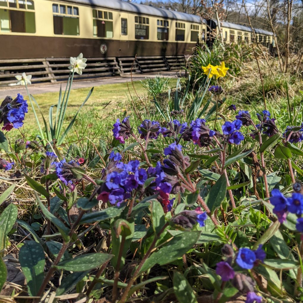 Springtime at Coalport Station Holidays