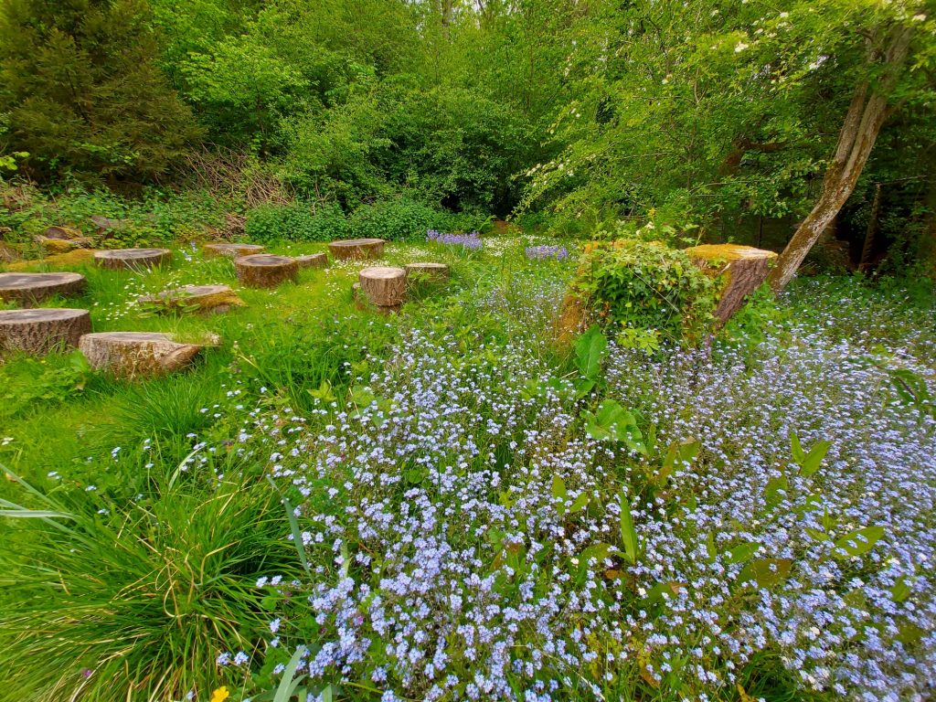 Forget-Me-Nots Coalport Station